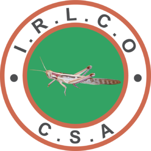 Logo HighRes